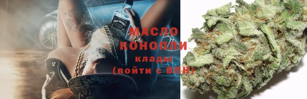 ПСИЛОЦИБИНОВЫЕ ГРИБЫ Няндома