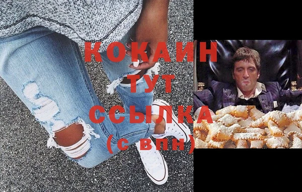 ПСИЛОЦИБИНОВЫЕ ГРИБЫ Няндома