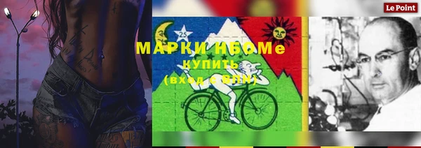 ПСИЛОЦИБИНОВЫЕ ГРИБЫ Няндома