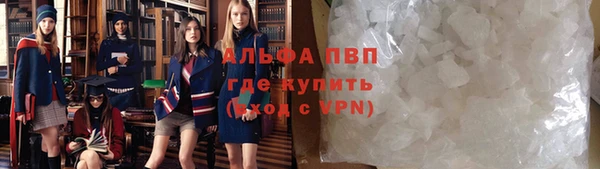 ПСИЛОЦИБИНОВЫЕ ГРИБЫ Няндома