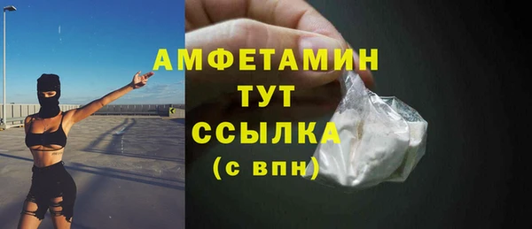 ПСИЛОЦИБИНОВЫЕ ГРИБЫ Няндома