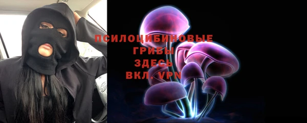 ПСИЛОЦИБИНОВЫЕ ГРИБЫ Няндома