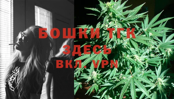 ПСИЛОЦИБИНОВЫЕ ГРИБЫ Няндома