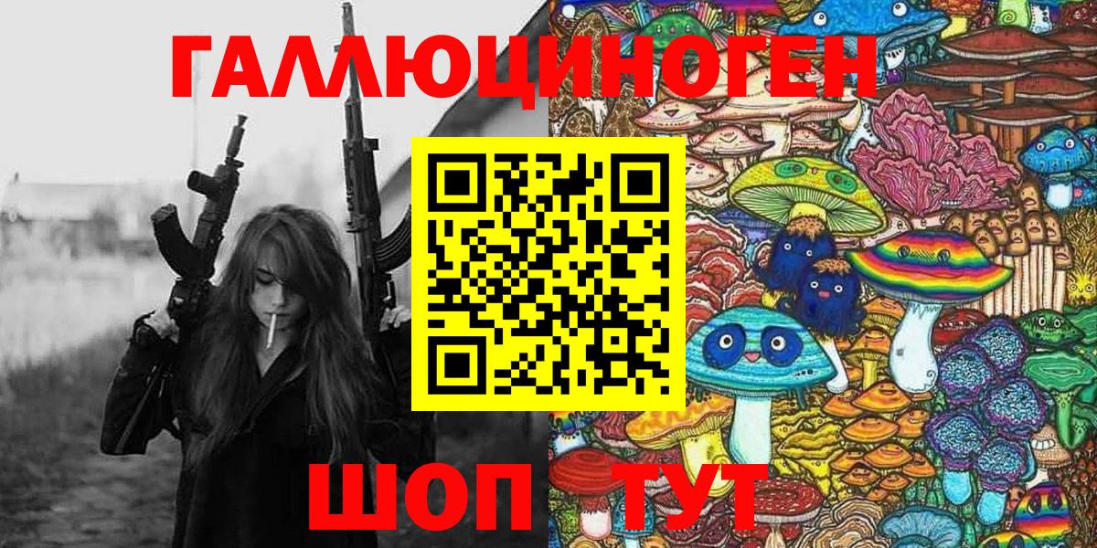 Псилоцибиновые грибы Psilocybe  Вход с VPN  Губаха 