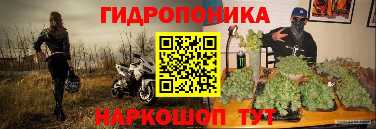 МАРИХУАНА сатива  Вход с VPN  Марихуана план  Канабис White Widow  Губаха 